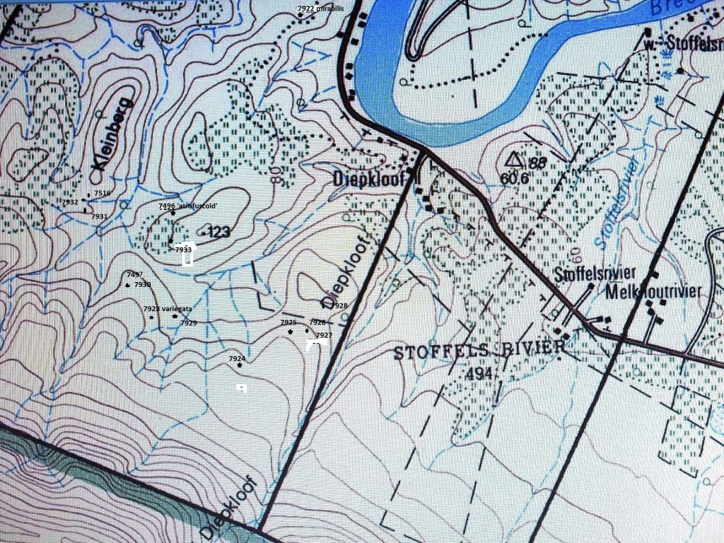 Map of the Diepkloof area.