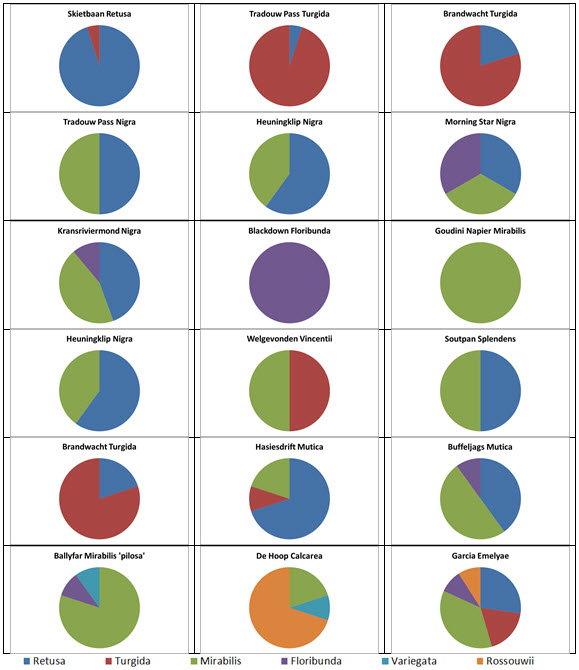 Table 2. Pie Charts